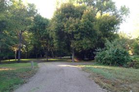 Natural path through trees