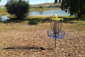 disc golf basket