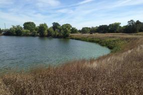 Grassy banks of the lake