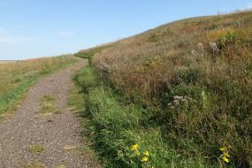 Trail on the left of the mound