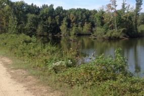 Sandy path next to water