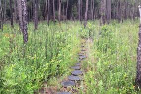 Path along the trail