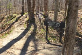 The trail forking around a directional sign