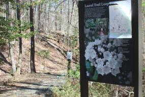 Interpretive sign about the Laurel Loop