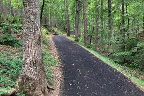 Trail at Kings Mountain