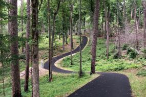 Kings Mountain Trail