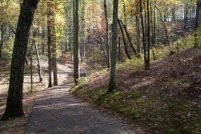 Trail at Kings Mountain National Military Park