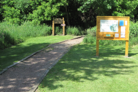 Disc golf course trail head and kiosk