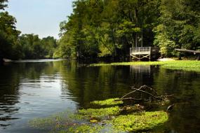 Dock on the Lumber River
