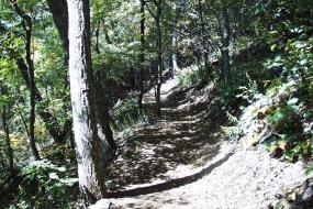 Uphill portion of trail in the woods
