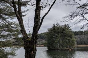 Bass Lake