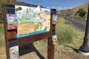 Willow Creek Canyon Trailhead