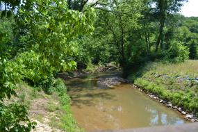 View of Manarcas Creek