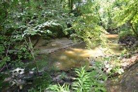 Manarcas Creek