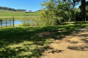 A view of the farm and pond from the trail
