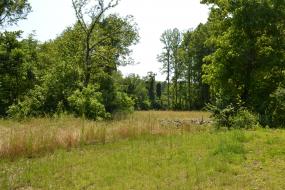 Meadow view along Mill Creek Loop