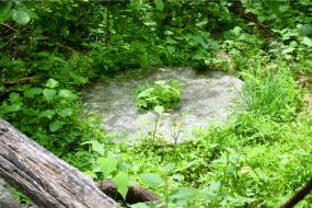 Old millstone