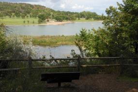 Bench overlooking the lake