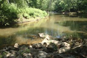 Rocky bank of the Eno River
