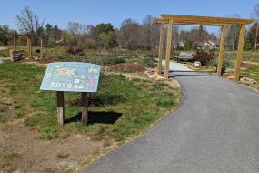 Pollinator Garden