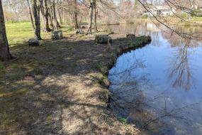 Rocks along edge of pond