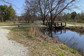 Path beside pond