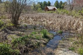 Wetland area with nature center in the background