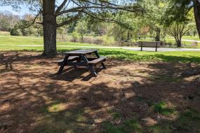 Picnic Table
