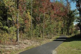 Paved path along the edge of the woods