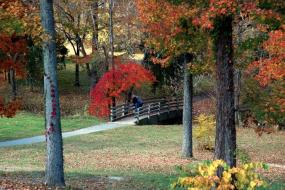 Paved path leading to a small bridge