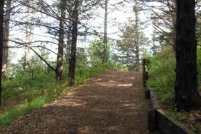 Mulched path up hill