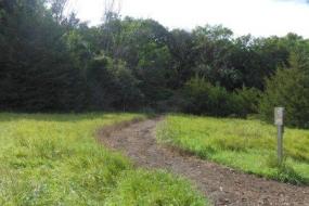 Mulched path through field