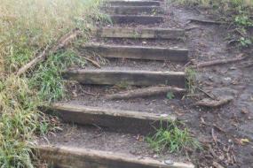 Wooden steps up a small hill