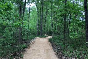 Wooded trail at Southwest District Park