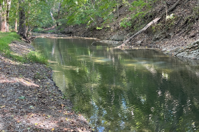 a photo of the slow-moving creek 