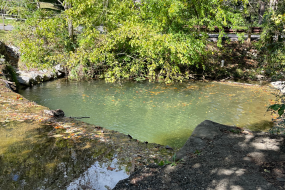 A natural pool formed within the creek that is a vibrant blue-green color