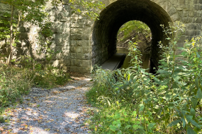 The path leads under a tunnel that follows the creek