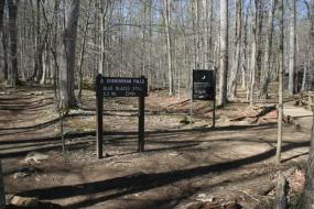 Trail beside trail signs