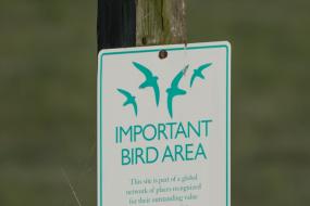 Audubon important bird area sign with a bird on top