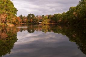 Autumn foliage reflecting in pond
