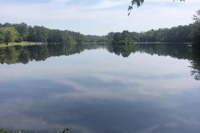 Sesquicentennial's 30-acre lake on a calm day.