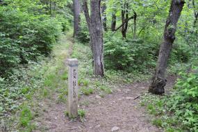 Trail marker sign