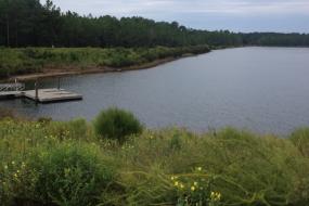 Overview of lake