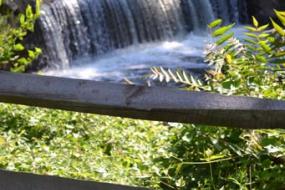 Small waterfall beyond a fence