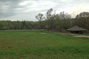 Open grassy lawn