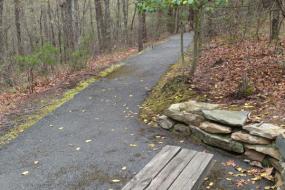 Bench along trail