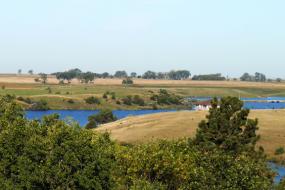 View of Richmond Lake