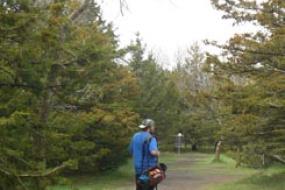 Disc golfer walking the course