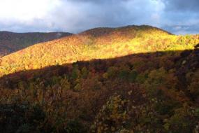 Sunlight illuminating fall foliage in the mountains