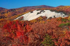 Stone Mountain at peak fall foliage